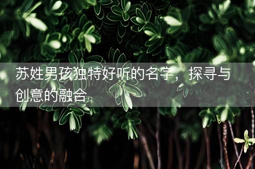 苏姓男孩独特好听的名字，探寻与创意的融合