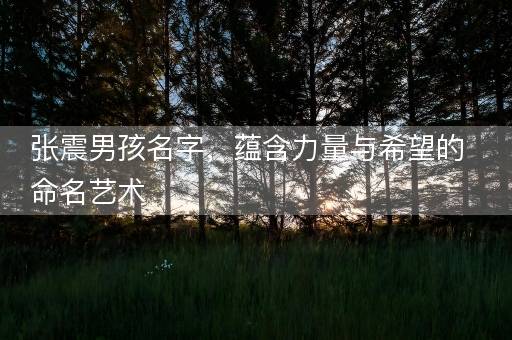 张震男孩名字,蕴含力量与希望的命名艺术 张震男孩名字,蕴含力量与希望的命名艺术