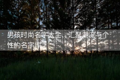 男孩时尚名字大全,汇聚潮流与个性的名字库 男孩时尚名字大全,汇聚潮流与个性的名字库