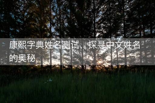 康熙字典姓名测试，探寻中文姓名的奥秘
