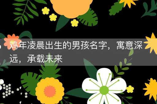 鸡年凌晨出生的男孩名字，寓意深远，承载未来