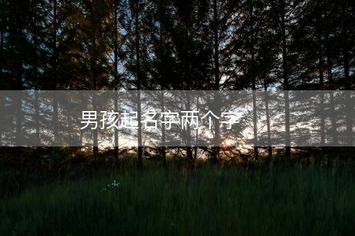 男孩起名字两个字