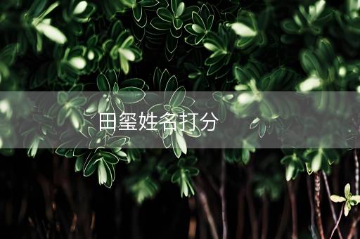 田玺姓名打分