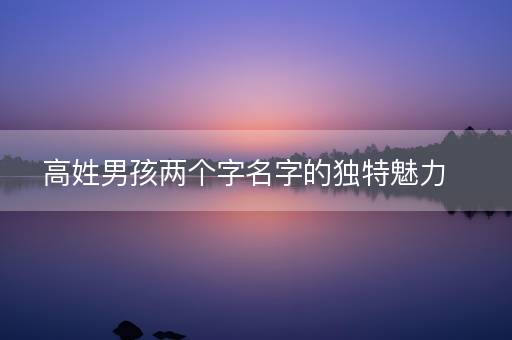 高姓男孩两个字名字的独特魅力
