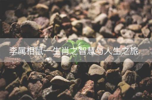 李属相鼠—生肖之智慧与人生之旅 李属相鼠—生肖之智慧与人生之旅