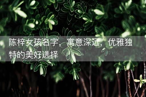 陈梓女孩名字,寓意深远,优雅独特的美好选择 陈梓女孩名字,寓意深远,优雅独特的美好选择