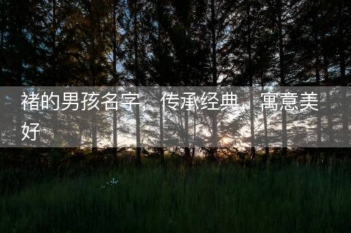 褚的男孩名字,传承经典,寓意美好 褚的男孩名字,传承经典,寓意美好