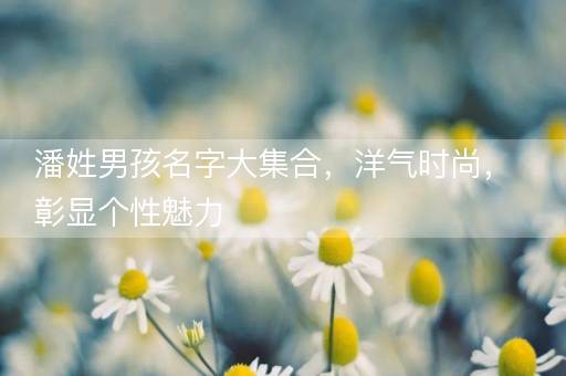 潘姓男孩名字大集合，洋气时尚，彰显个性魅力