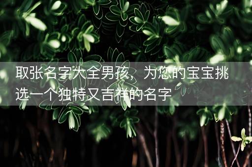 取张名字大全男孩，为您的宝宝挑选一个独特又吉祥的名字
