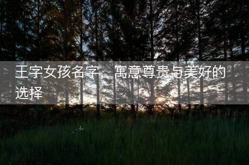 王字女孩名字，寓意尊贵与美好的选择