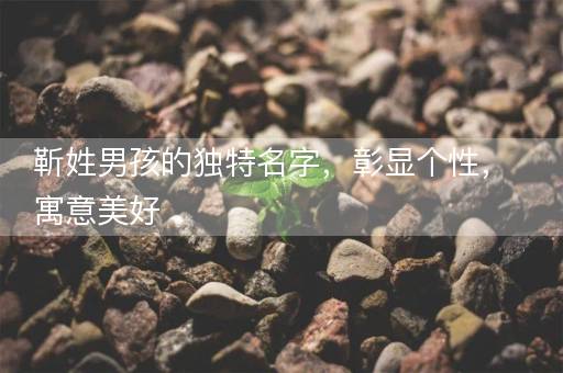 靳姓男孩的独特名字,彰显个性,寓意美好 靳姓男孩的独特名字,彰显个性,寓意美好