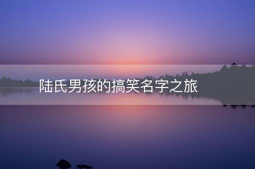 陆氏男孩的搞笑名字之旅 陆氏男孩的搞笑名字之旅