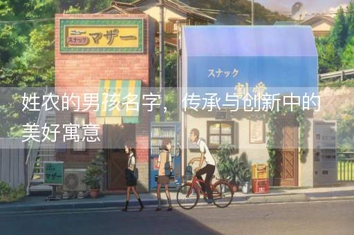 姓农的男孩名字,传承与创新中的美好寓意 姓农的男孩名字,传承与创新中的美好寓意