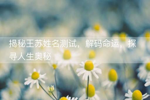 揭秘王苏姓名测试，解码命运，探寻人生奥秘