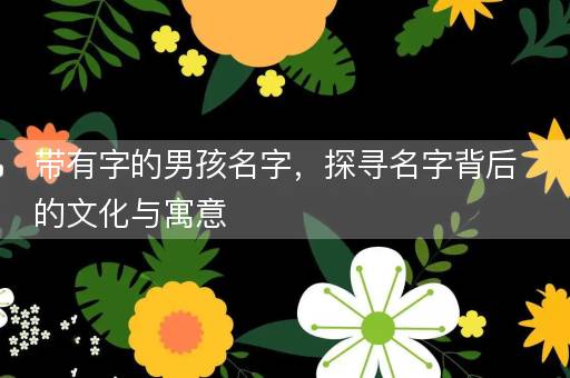 带有字的男孩名字，探寻名字背后的文化与寓意