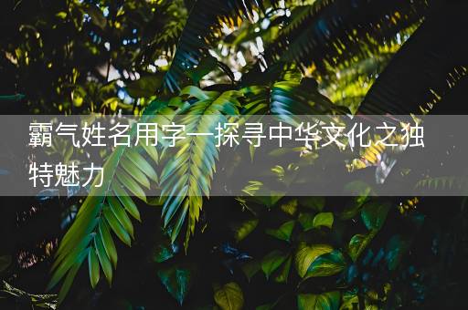 霸气姓名用字—探寻中华文化之独特魅力