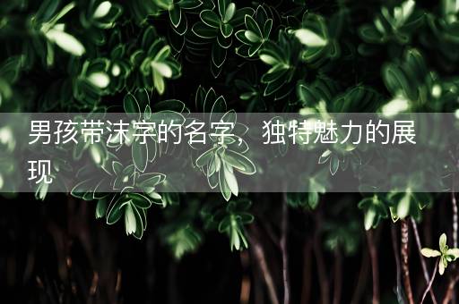 男孩带沫字的名字,独特魅力的展现 男孩带沫字的名字,独特魅力的展现