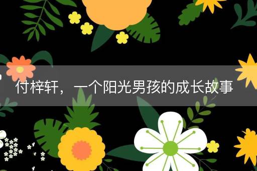 付梓轩,一个阳光男孩的成长故事 付梓轩,一个阳光男孩的成长故事
