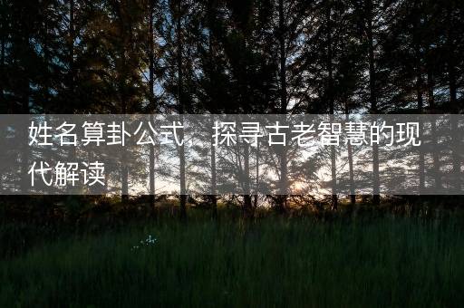 姓名算卦公式,探寻古老智慧的现代解读 姓名算卦公式,探寻古老智慧的现代解读