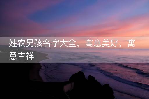 姓农男孩名字大全,寓意美好,寓意吉祥 姓农男孩名字大全,寓意美好,寓意吉祥
