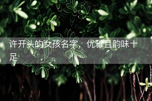 许开头的女孩名字,优雅且韵味十足 许开头的女孩名字,优雅且韵味十足