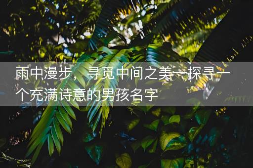 雨中漫步，寻觅中间之美—探寻一个充满诗意的男孩名字
