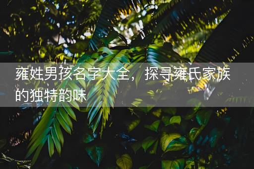 雍姓男孩名字大全，探寻雍氏家族的独特韵味