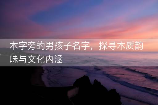 木字旁的男孩子名字，探寻木质韵味与文化内涵