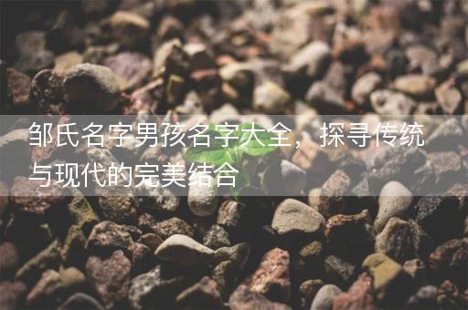邹氏名字男孩名字大全，探寻传统与现代的完美结合