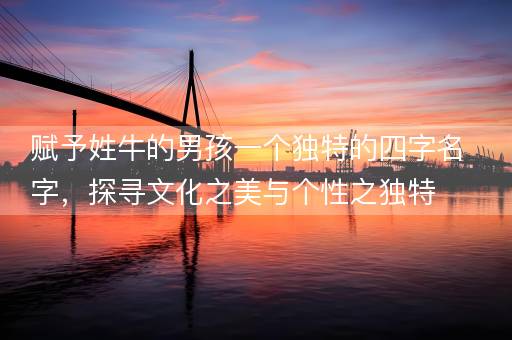 赋予姓牛的男孩一个独特的四字名字，探寻文化之美与个性之独特