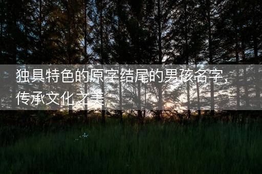 独具特色的原字结尾的男孩名字，传承文化之美