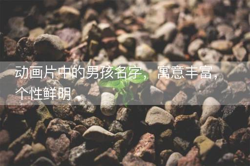 动画片中的男孩名字，寓意丰富，个性鲜明