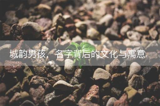 城韵男孩,名字背后的文化与寓意 城韵男孩,名字背后的文化与寓意