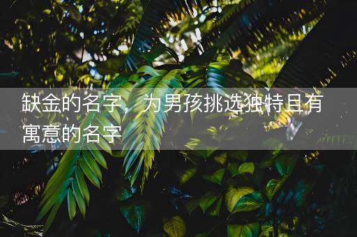 缺金的名字,为男孩挑选独特且有寓意的名字 缺金的名字,为男孩挑选独特且有寓意的名字