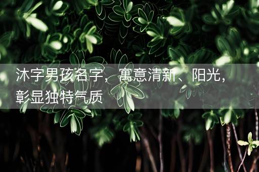 沐字男孩名字,寓意清新、阳光,彰显独特气质 沐字男孩名字,寓意清新、阳光,彰显独特气质