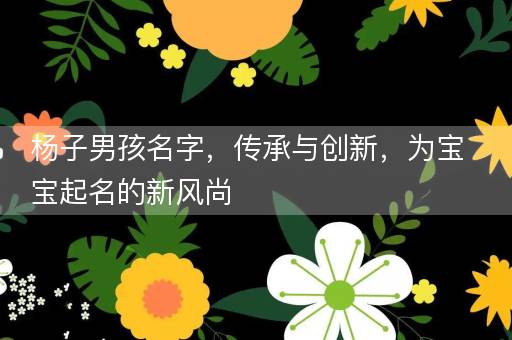 杨子男孩名字，传承与创新，为宝宝起名的新风尚