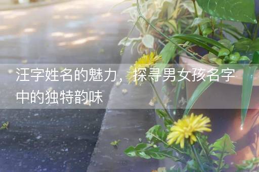 汪字姓名的魅力，探寻男女孩名字中的独特韵味