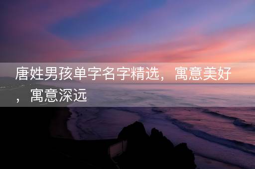 唐姓男孩单字名字精选,寓意美好,寓意深远 唐姓男孩单字名字精选,寓意美好,寓意深远