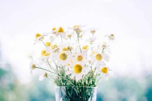 康馨悦来，探寻姓康女孩名字的美丽寓意