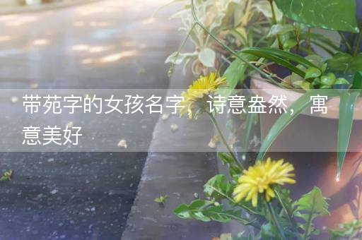 带苑字的女孩名字，诗意盎然，寓意美好