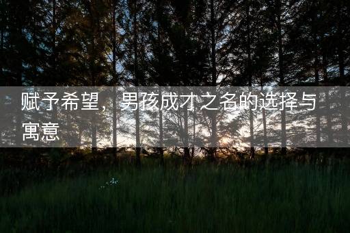赋予希望，男孩成才之名的选择与寓意