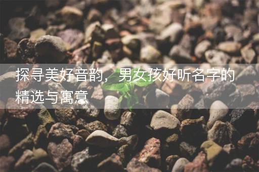 探寻美好音韵，男女孩好听名字的精选与寓意