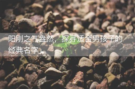 阳刚之气盎然，探寻适合男孩子的经典名字」