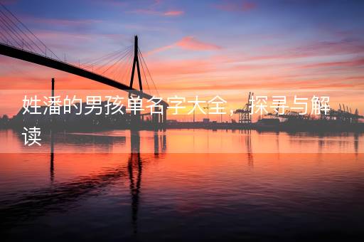 姓潘的男孩单名字大全,探寻与解读 姓潘的男孩单名字大全,探寻与解读