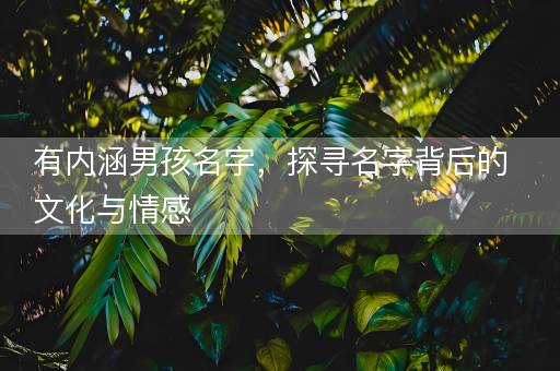 有内涵男孩名字，探寻名字背后的文化与情感