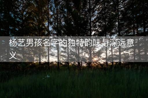 杨艺男孩名字的独特韵味与深远意义