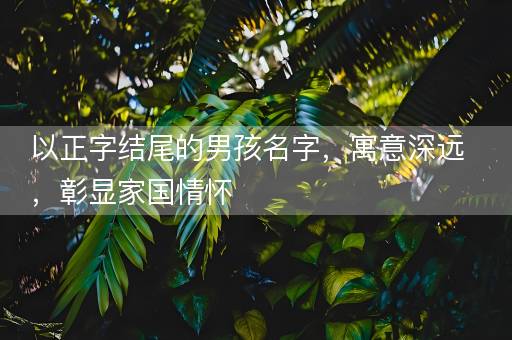 以正字结尾的男孩名字，寓意深远，彰显家国情怀