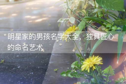 明星家的男孩名字大全，独具匠心的命名艺术