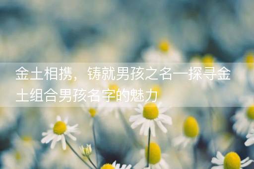 金土相携，铸就男孩之名—探寻金土组合男孩名字的魅力