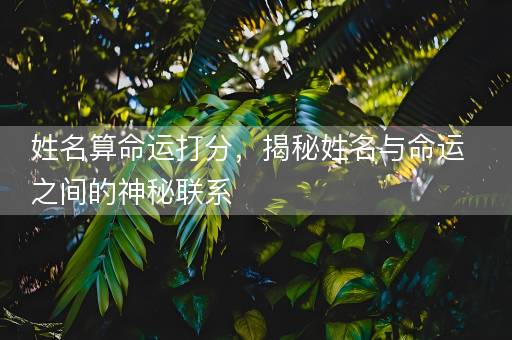 姓名算命运打分，揭秘姓名与命运之间的神秘联系
